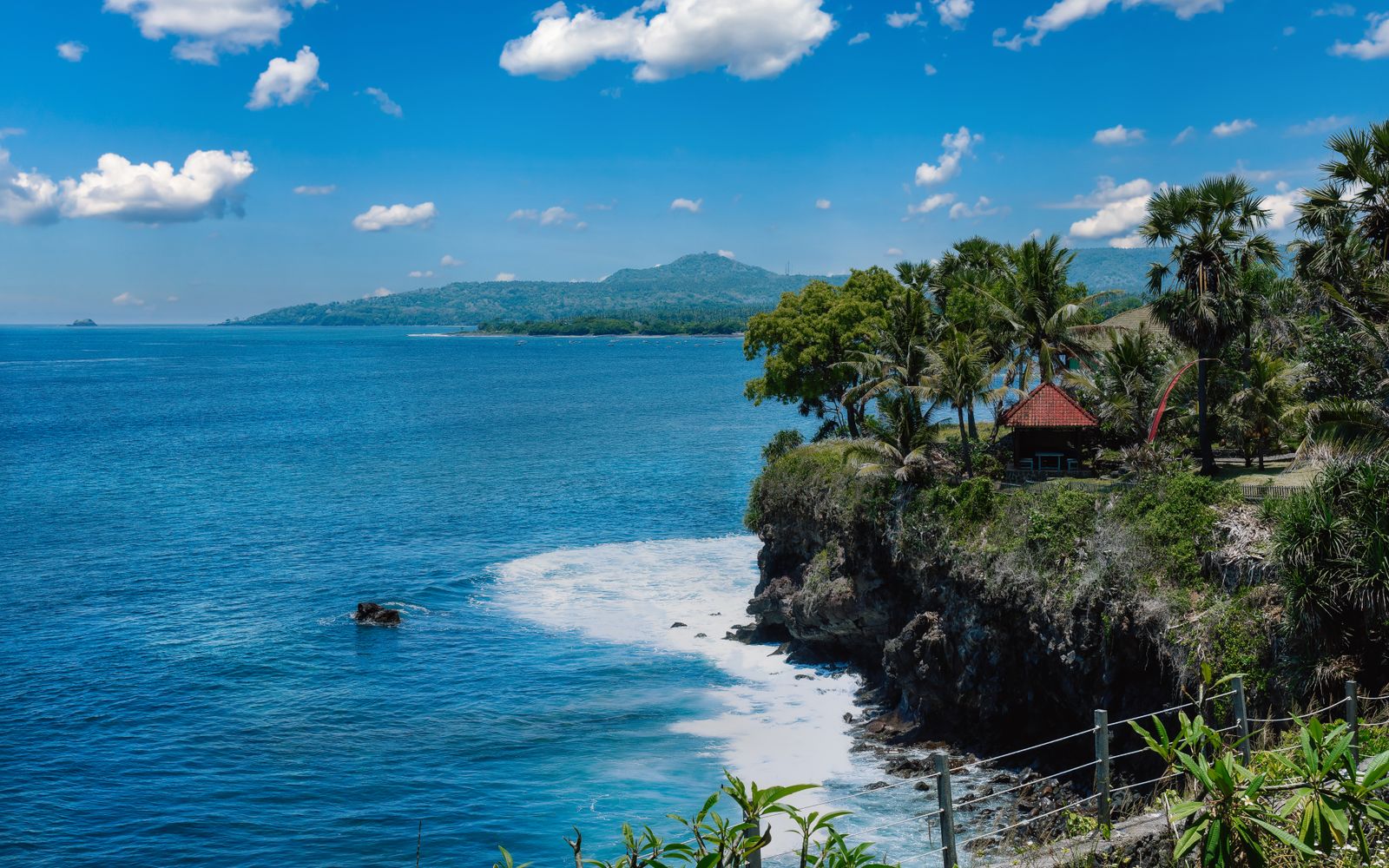 Stunning coastal view of Bali with a cliffside villa and lush palm trees under a clear blue sky.
