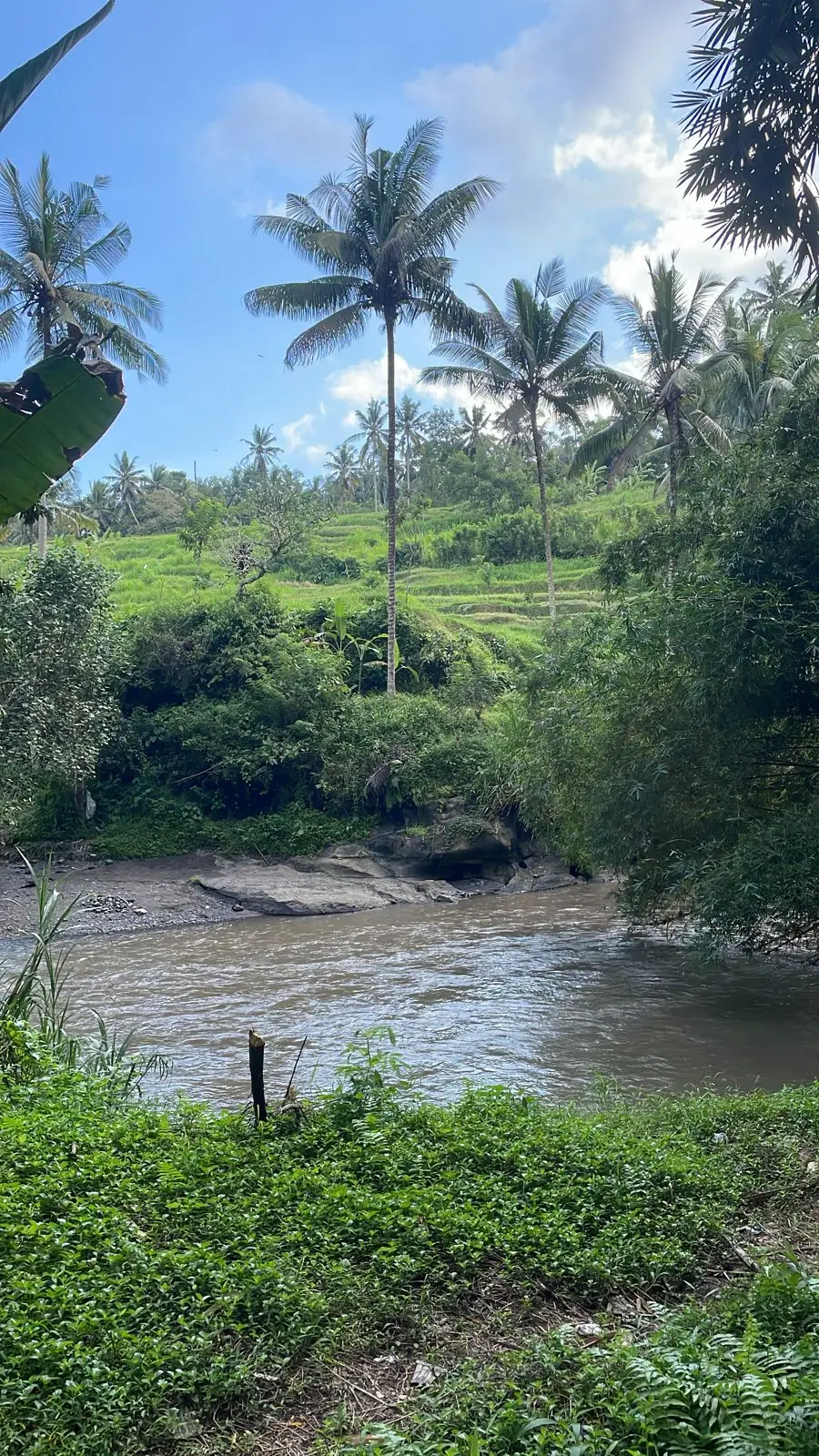 Begawan Giri Land Payangan Ubud