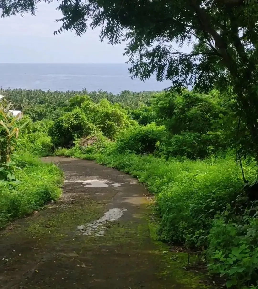 Ocean View Land Kubutambahan North Bali