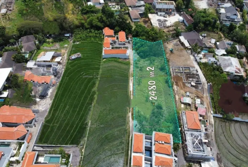 Direct Owner Land Padang Linjong Canggu
