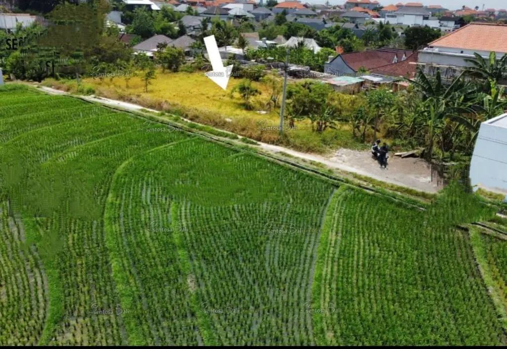 Direct Owner Land Padang Linjong Canggu