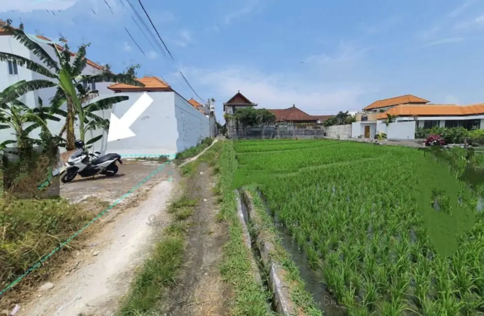 Direct Owner Land Padang Linjong Canggu