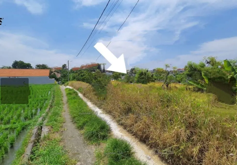 Direct Owner Land Padang Linjong Canggu