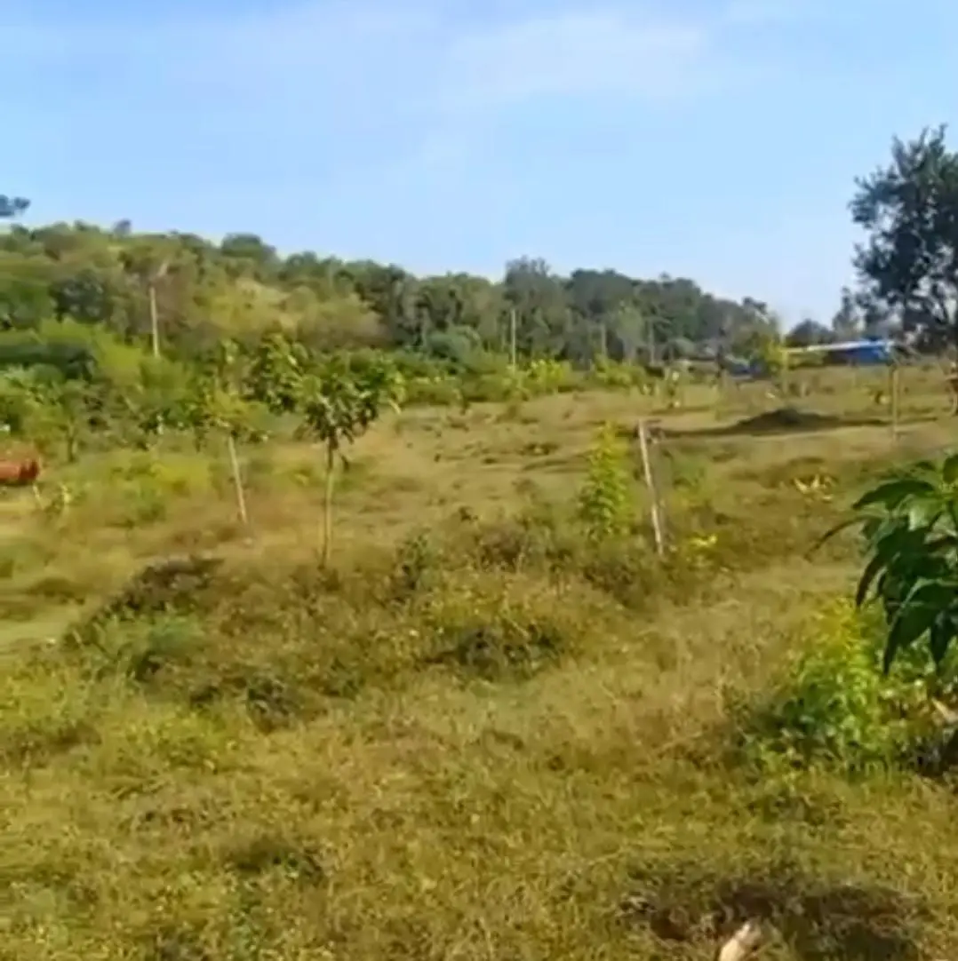 Beach Front Land Pemuteran Buleleng North Bali