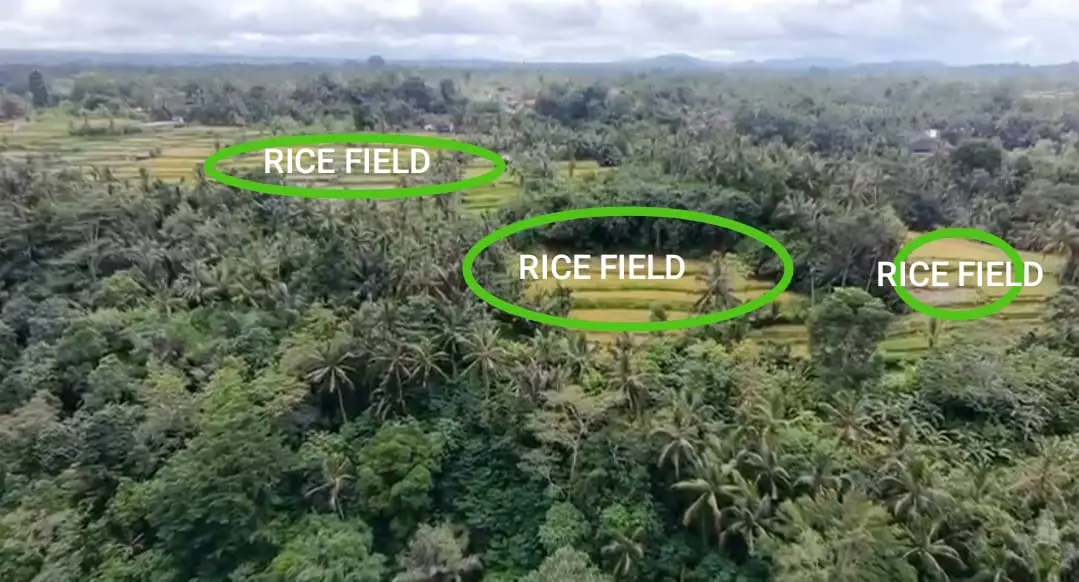 Premium Riverside & Waterfall Land For Development Pujung Ubud